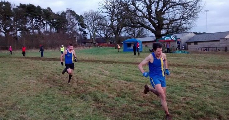 Lilleshall Cross Country January 2015