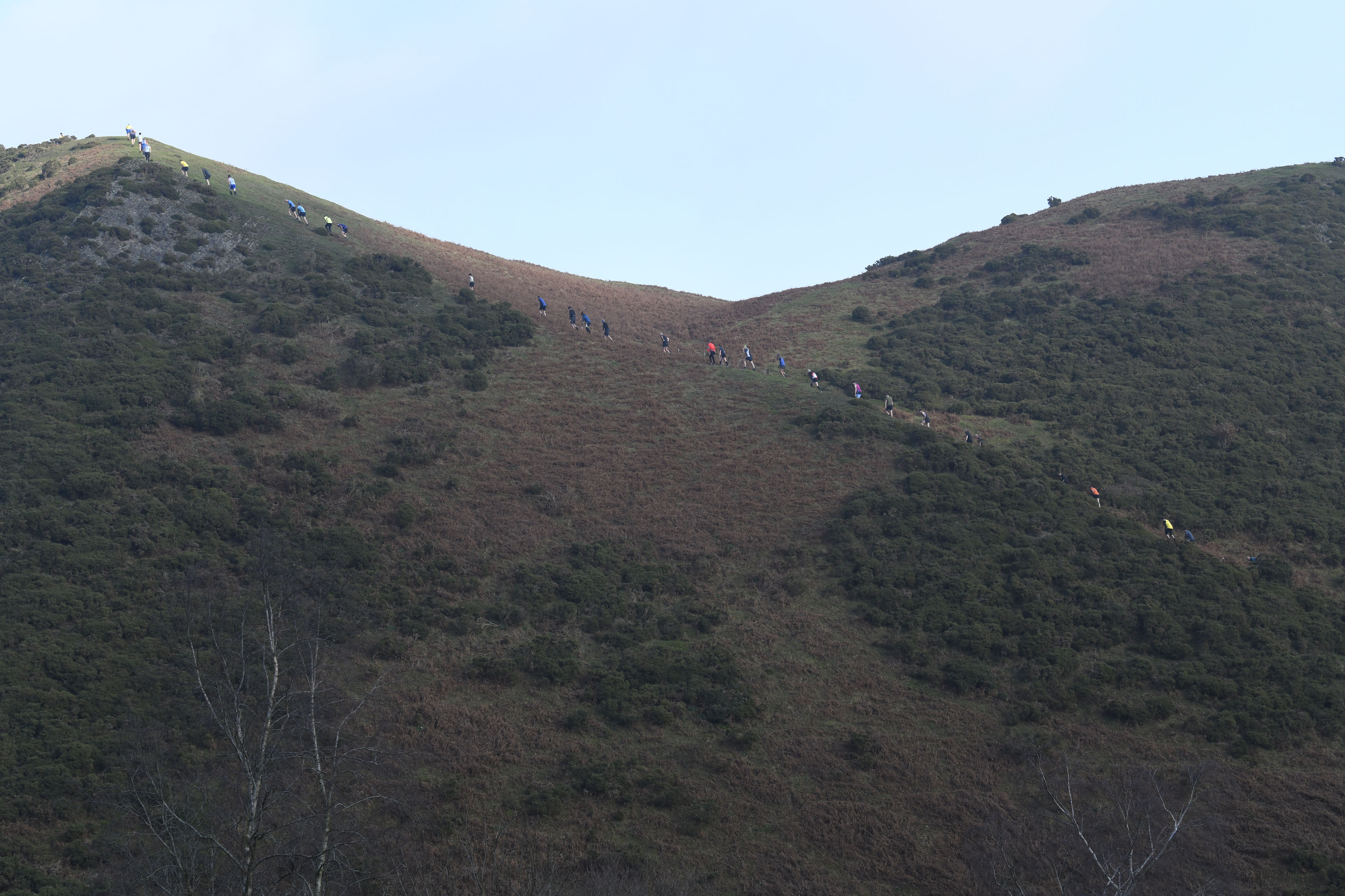 Fell running Best Performers 2019